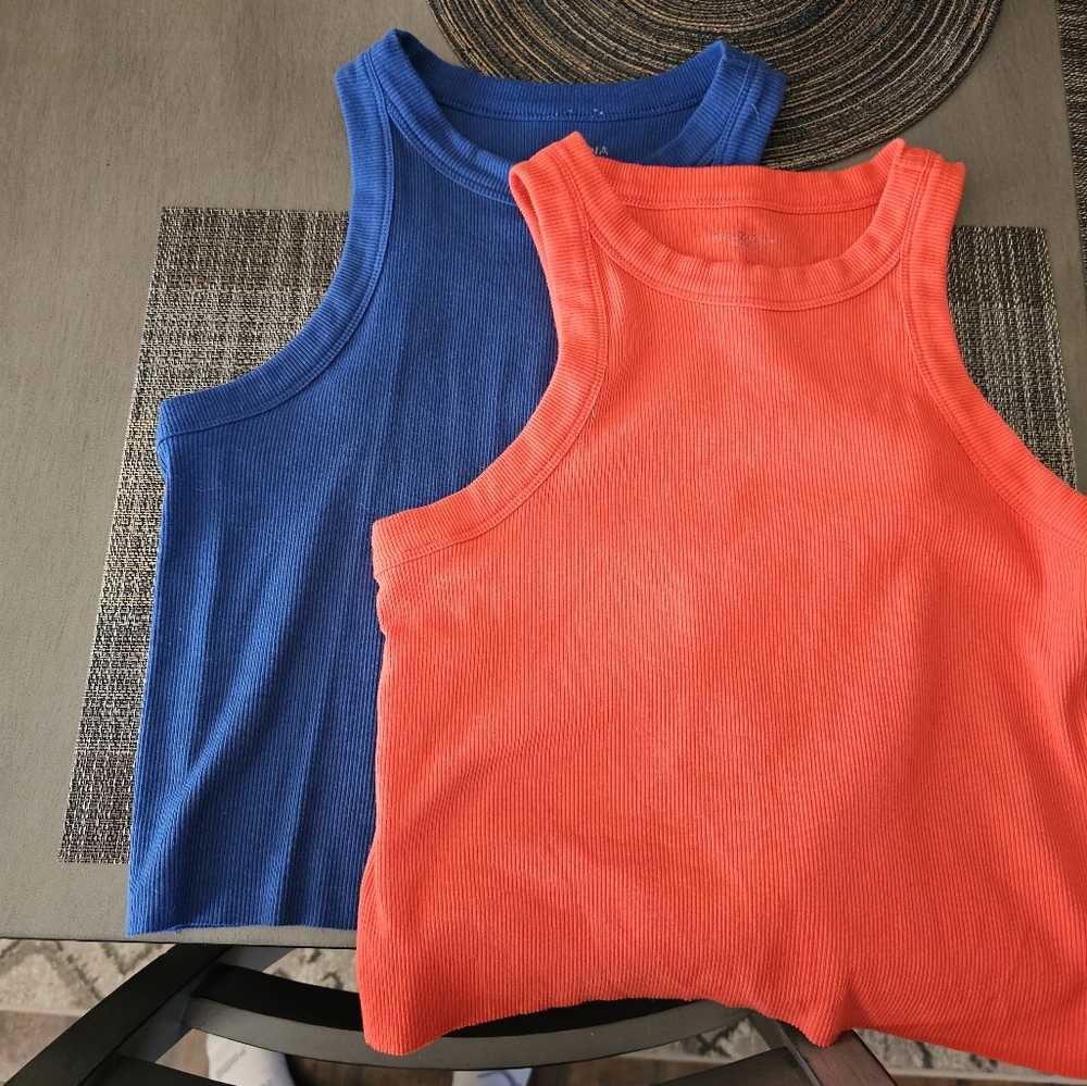 2 Cropped Tank Tops